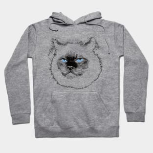 Ragdoll Design - Floppy Cat Christmas Gift Hoodie